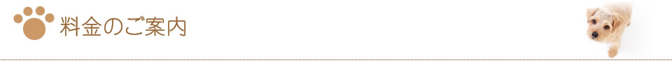 料金のご案内
