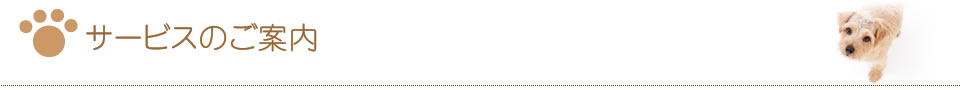 サービスのご案内