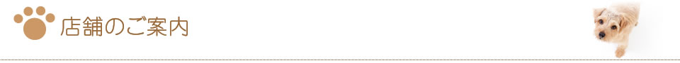 店舗のご案内